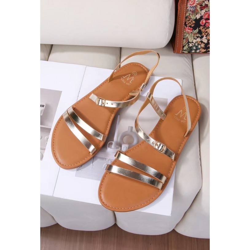 DM512-56 Grande pointure