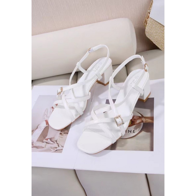 DMS313-39 Grande pointure