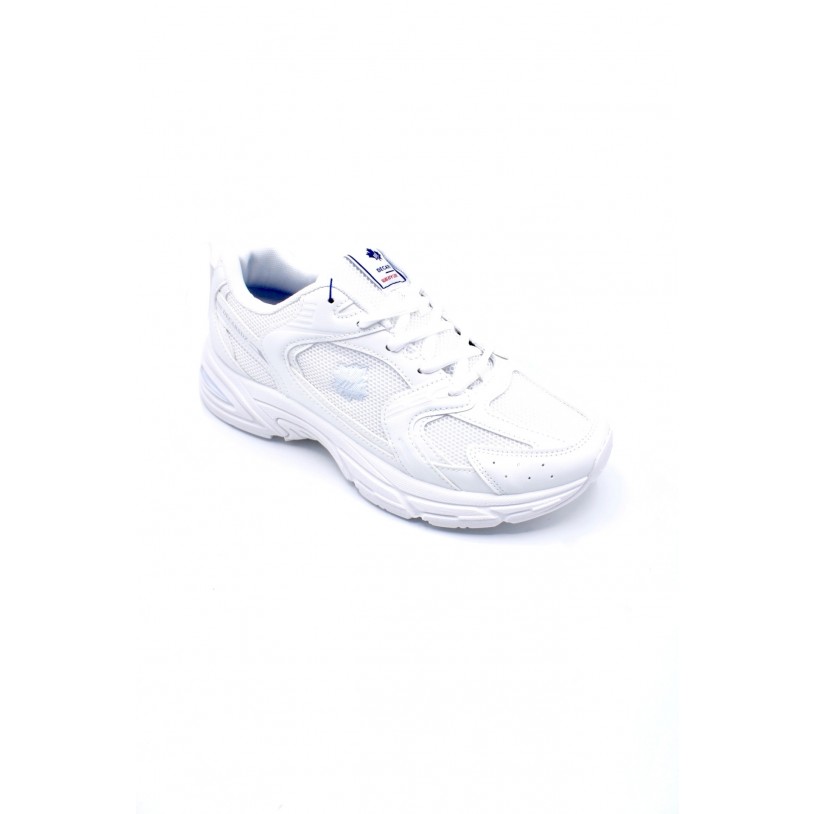 DSE009 B
