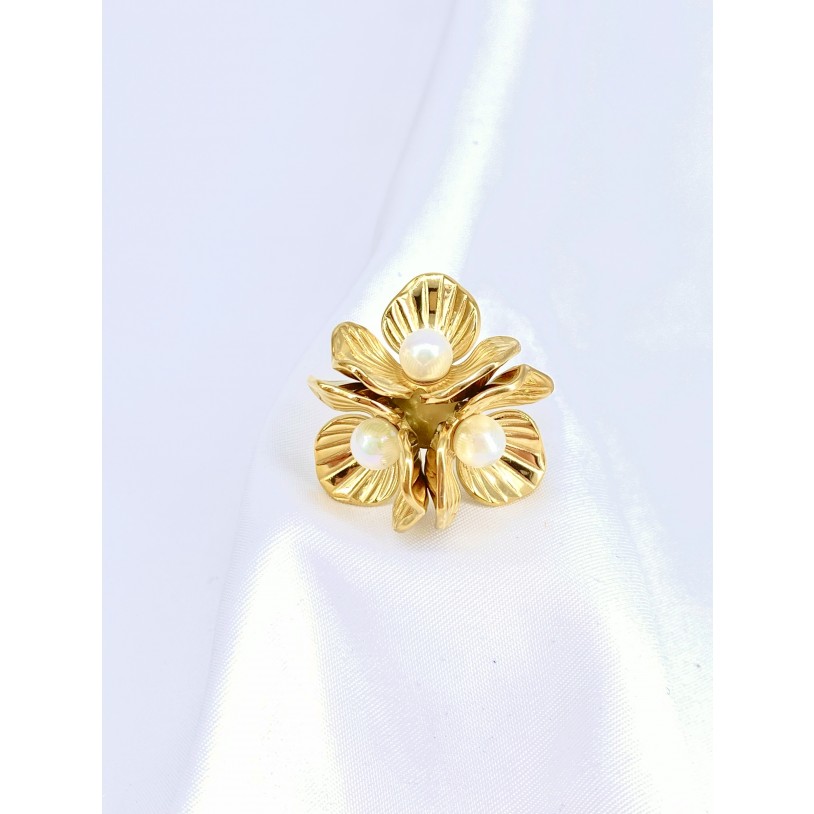 BAGUE45-56