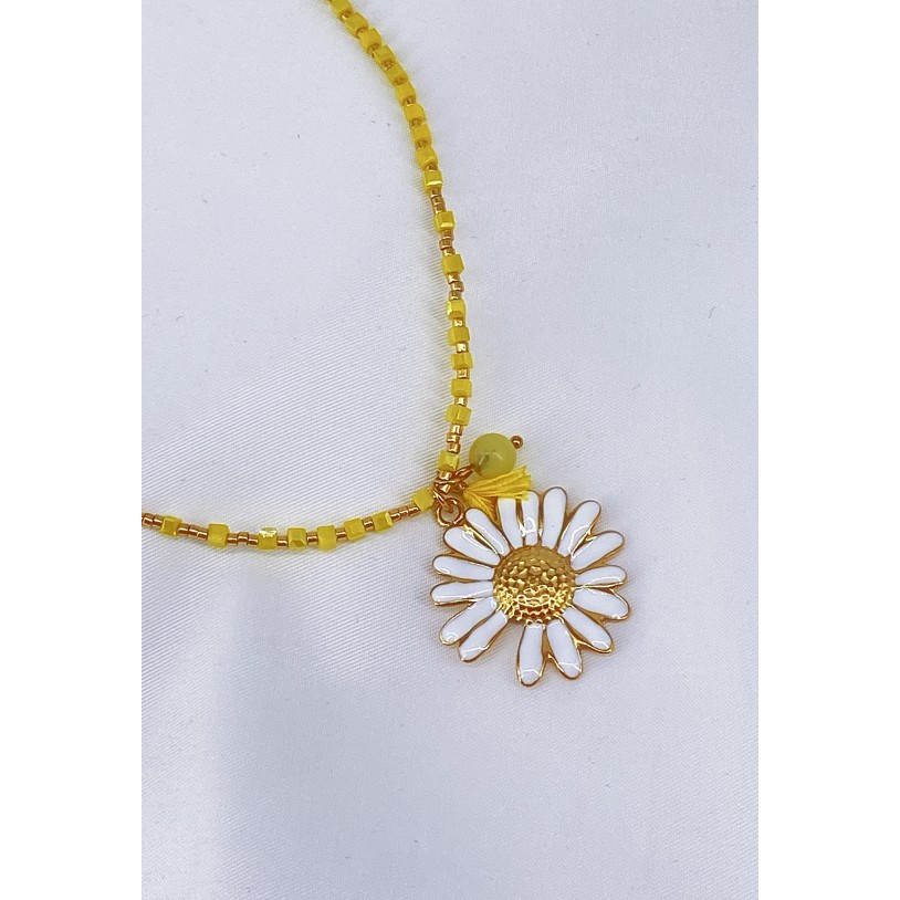 COLLIER75-6
