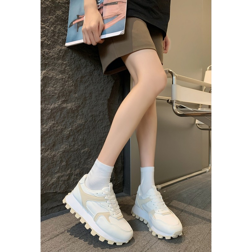 Y25