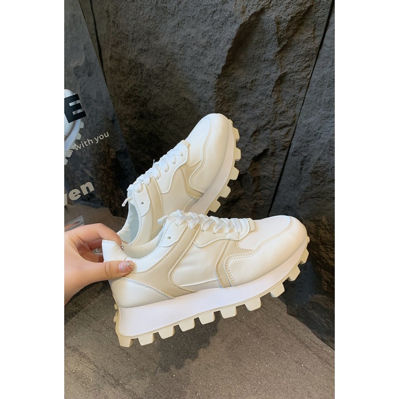Y25