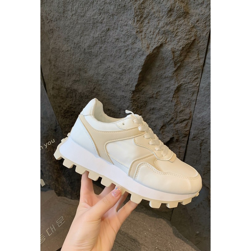 Y25
