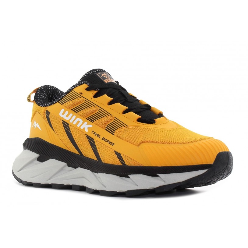 LP42199-34
