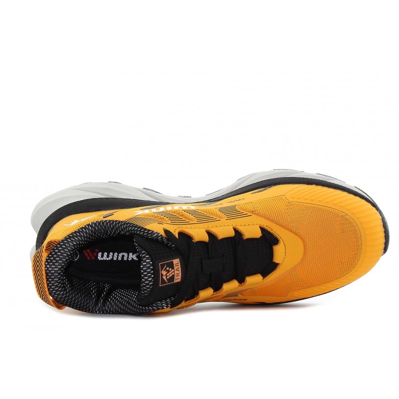 LP42199-34