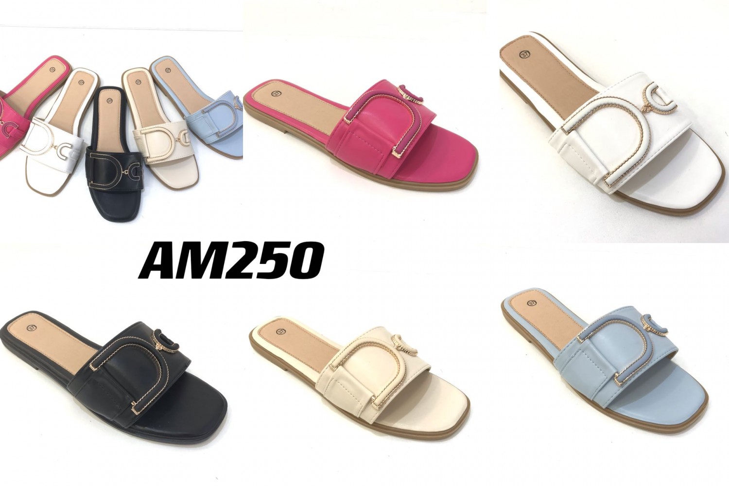 AM250