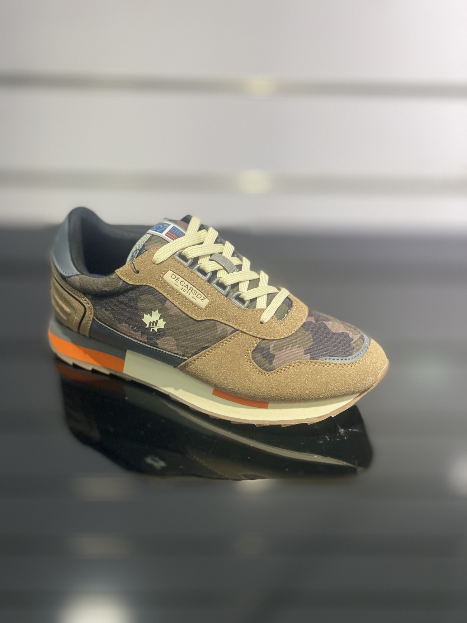 DSE008 B