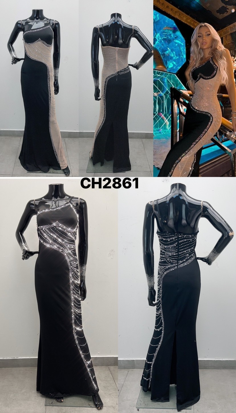 LS-CH2861