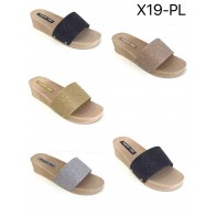 X19-PL