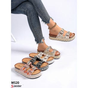 M520