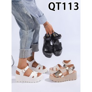 QT113