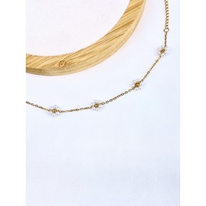 BRAC30-17