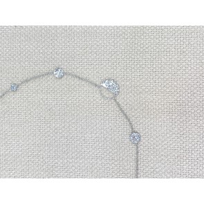 NACIER35-L5-1